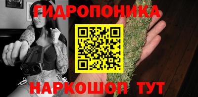 ешки Сланцы